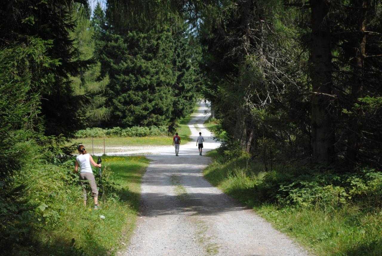Prenocisca Cerkno Hostel Eksteriør bilde